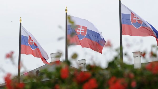 Slovakya - bayrak - Sputnik Türkiye