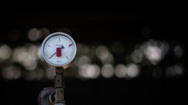 Druzjba petrol boru hattı - Sputnik Türkiye