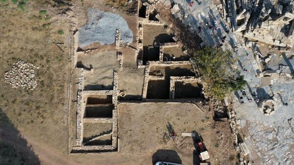 Efes'teki yangın tabakası altından 1400 yıllık beslenme alışkanlığı çıktı - Sputnik Türkiye