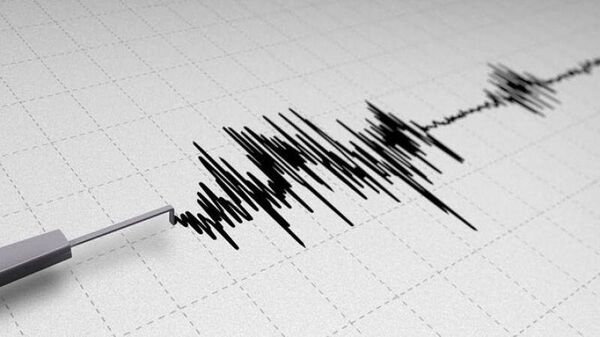 Sismograf - deprem - AFAD - Sputnik Türkiye