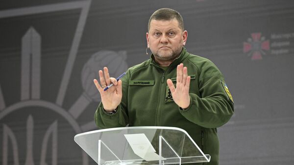 Ukrayna Genelkurmay Başkanı Valeriy Zalujnıy - Sputnik Türkiye