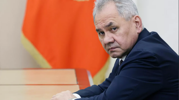 Sergey Şoygu - Sputnik Türkiye