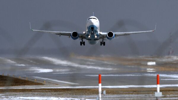 Boeing 737-800 - Sputnik Türkiye