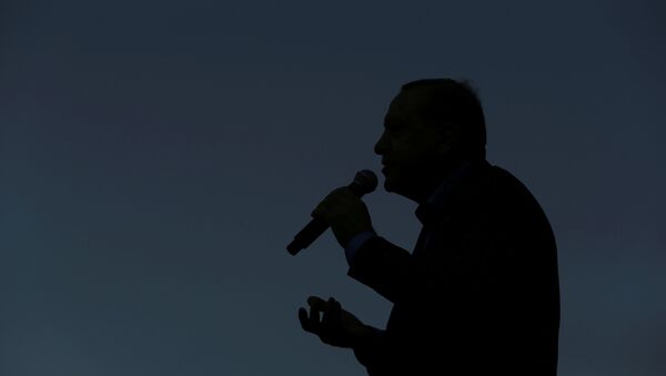 Cumhurbaşkanı Recep Tayyip Erdoğan - Sputnik Türkiye