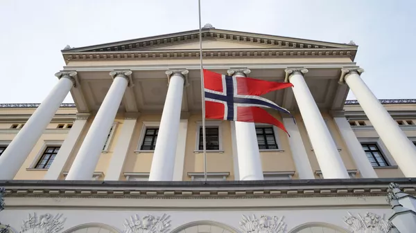 Norveç Bayrağı - Sputnik Türkiye