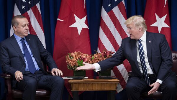 ABD Başkanı Donald Trump- Cumhurbaşkanı Recep Tayyip Erdoğan - Sputnik Türkiye
