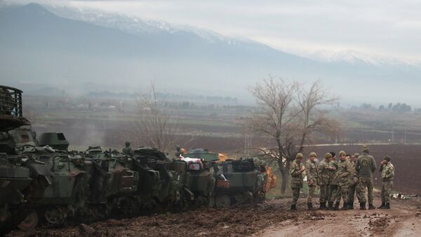 Afrin, Zeytin Dalı Harekatı - Sputnik Türkiye