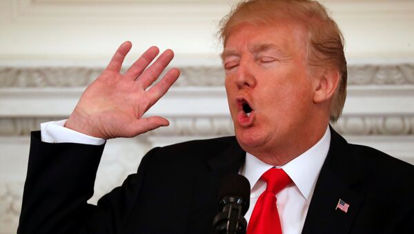 ABD Başkanı Donald Trump - Sputnik Türkiye