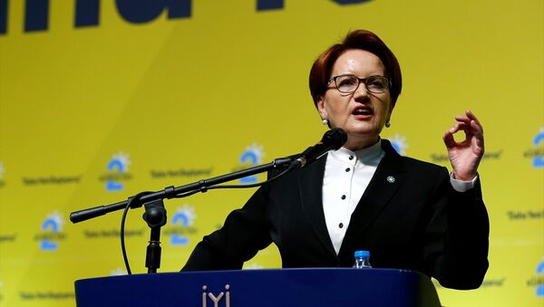 Meral Akşener - Sputnik Türkiye