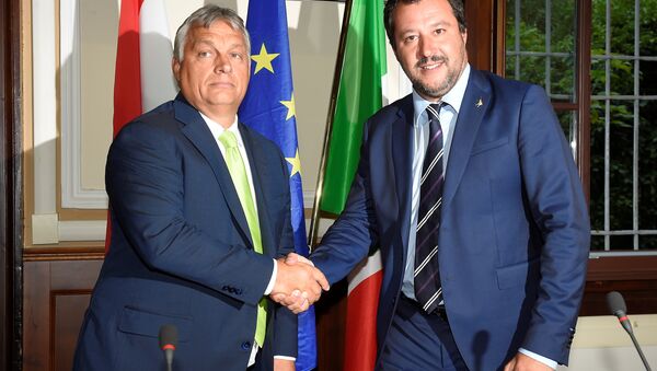 Orban ile Salvini - Sputnik Türkiye